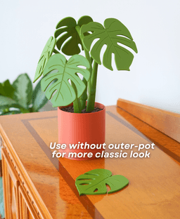 Monstera Coaster Set - Coaster Set End Table - Gen 2 3d model