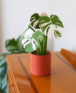 Monstera Coaster Set - Coaster Set End Table - Gen 2 3d model