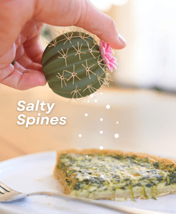 Spikey Spices - Cactus Salt and Pepper Shaker 3d model