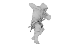 Ninja Shadow Warrior 3d model