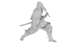 Ninja Shadow Warrior 3d model