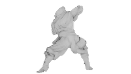 Ninja Shadow Warrior 3d model
