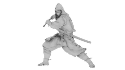 Ninja Shadow Warrior 3d model