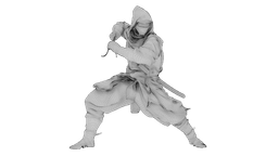 Ninja Shadow Warrior 3d model