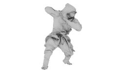 Ninja Shadow Warrior 3d model