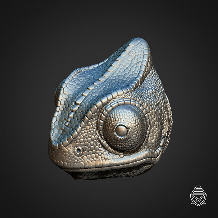 Wall Chameleon 3d model