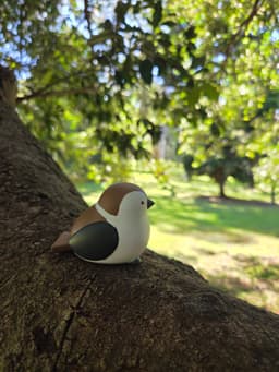 Bird 3d model