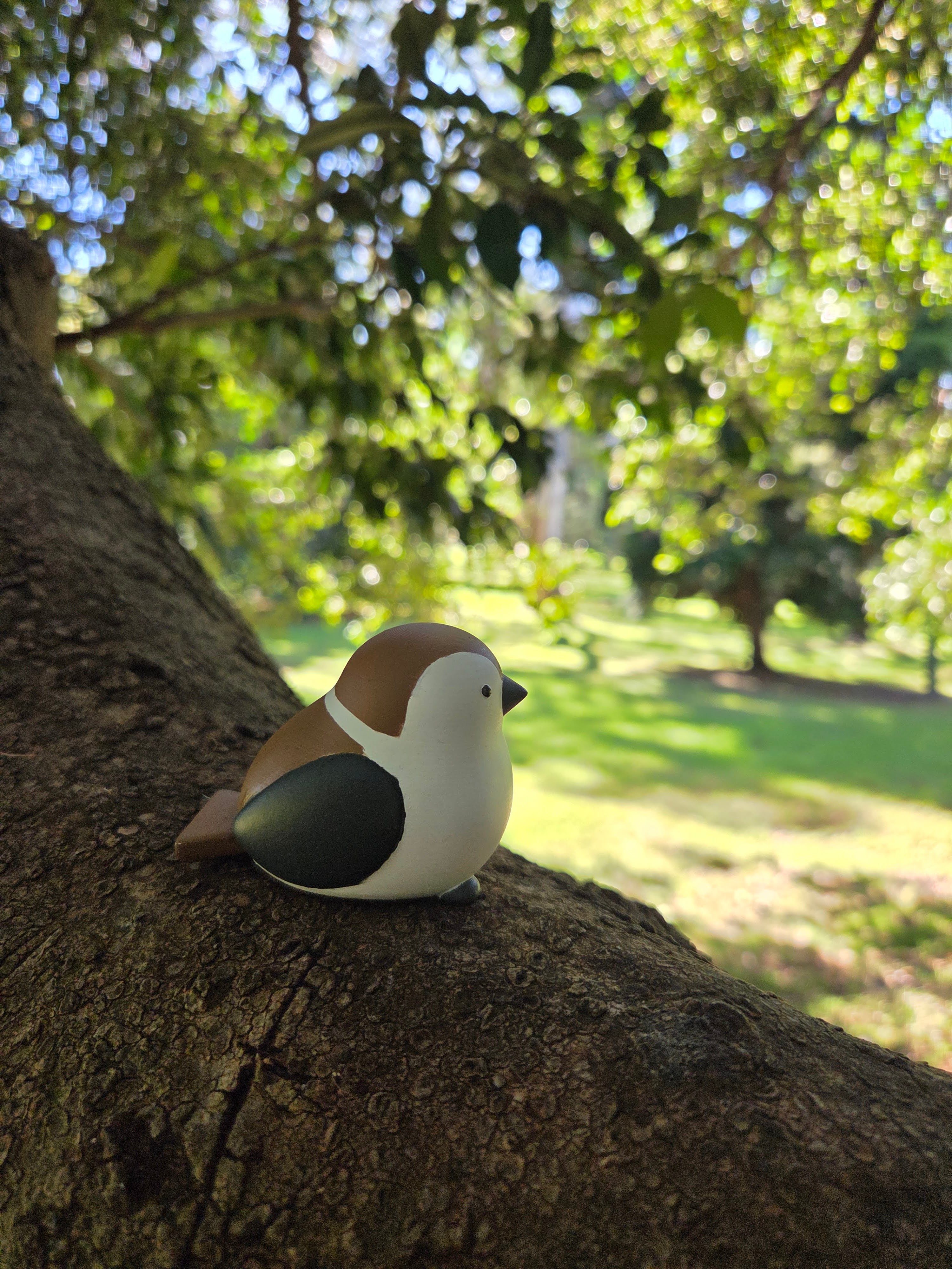 Bird 3d model