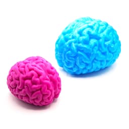 Brain Constellation Maze 3d model