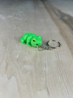 Frog Fidget 3d model
