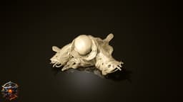 Ashmelt the Meltwalker 3d model