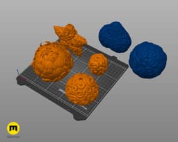 Devil Fruit Decorations - One Piece 3d model