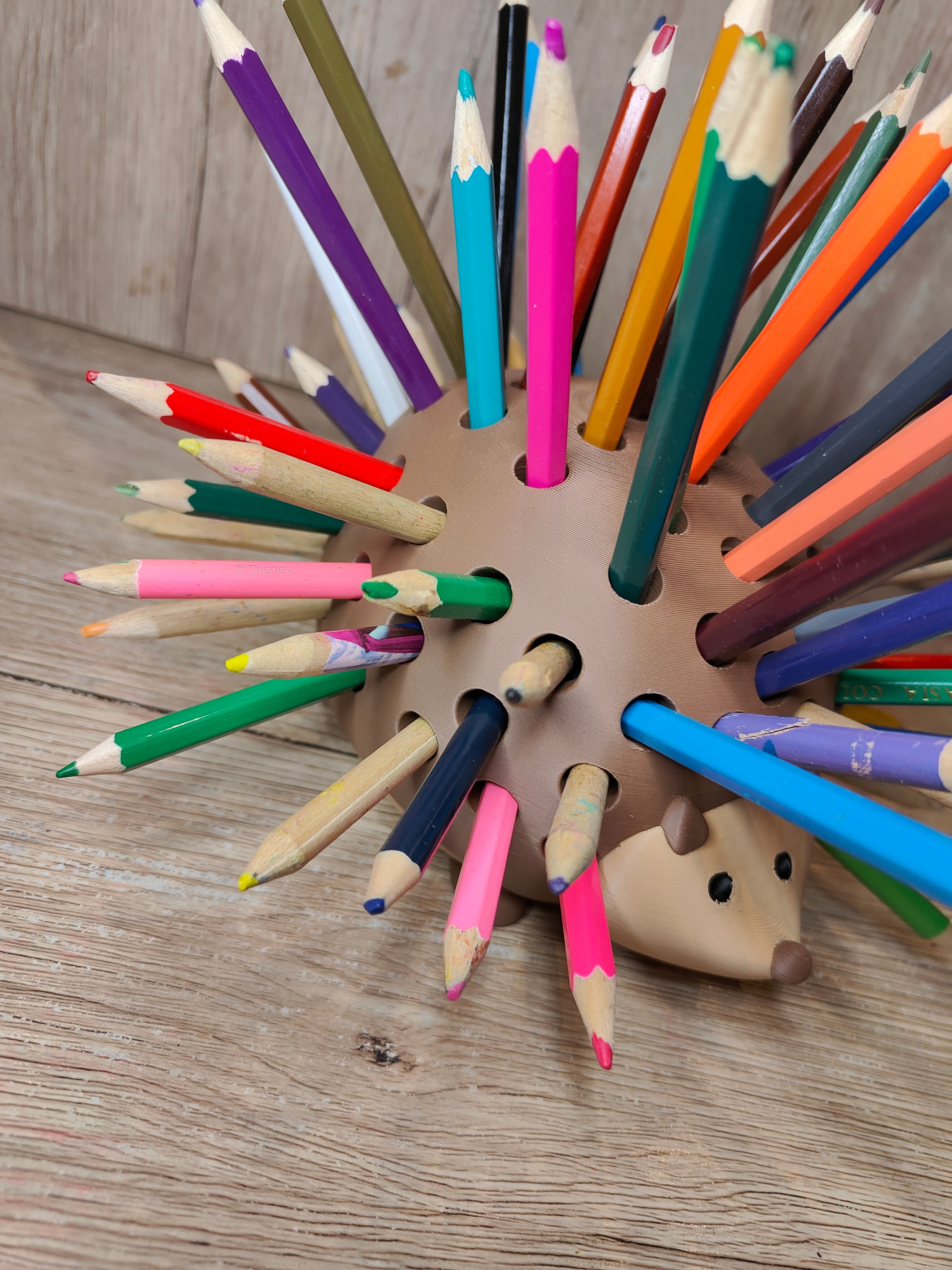 Pencil Hedgehog 3d model