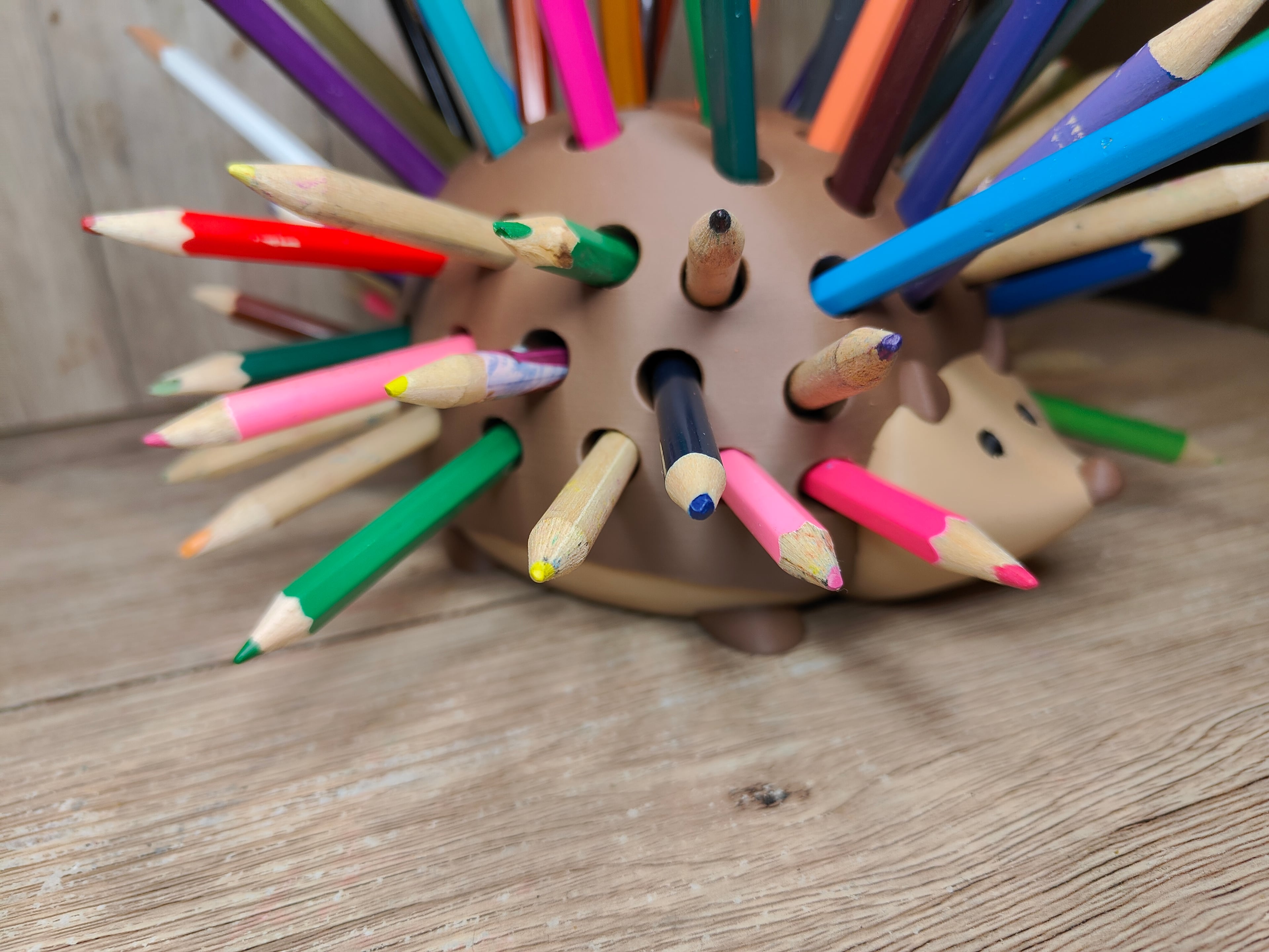 Pencil Hedgehog 3d model
