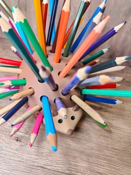 Pencil Hedgehog 3d model