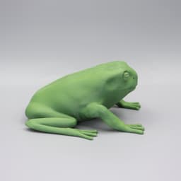 Green tree frog HD 3d model