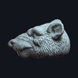 Ratticus 3d model
