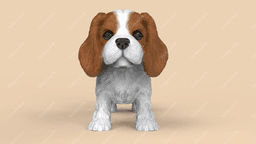 Cute Cavalier King Charles Spaniel 3d model