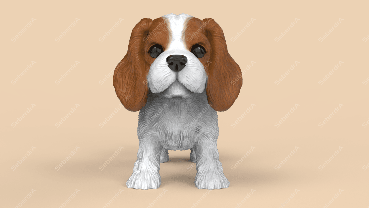Cute Cavalier King Charles Spaniel 3d model