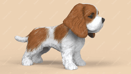 Cute Cavalier King Charles Spaniel 3d model