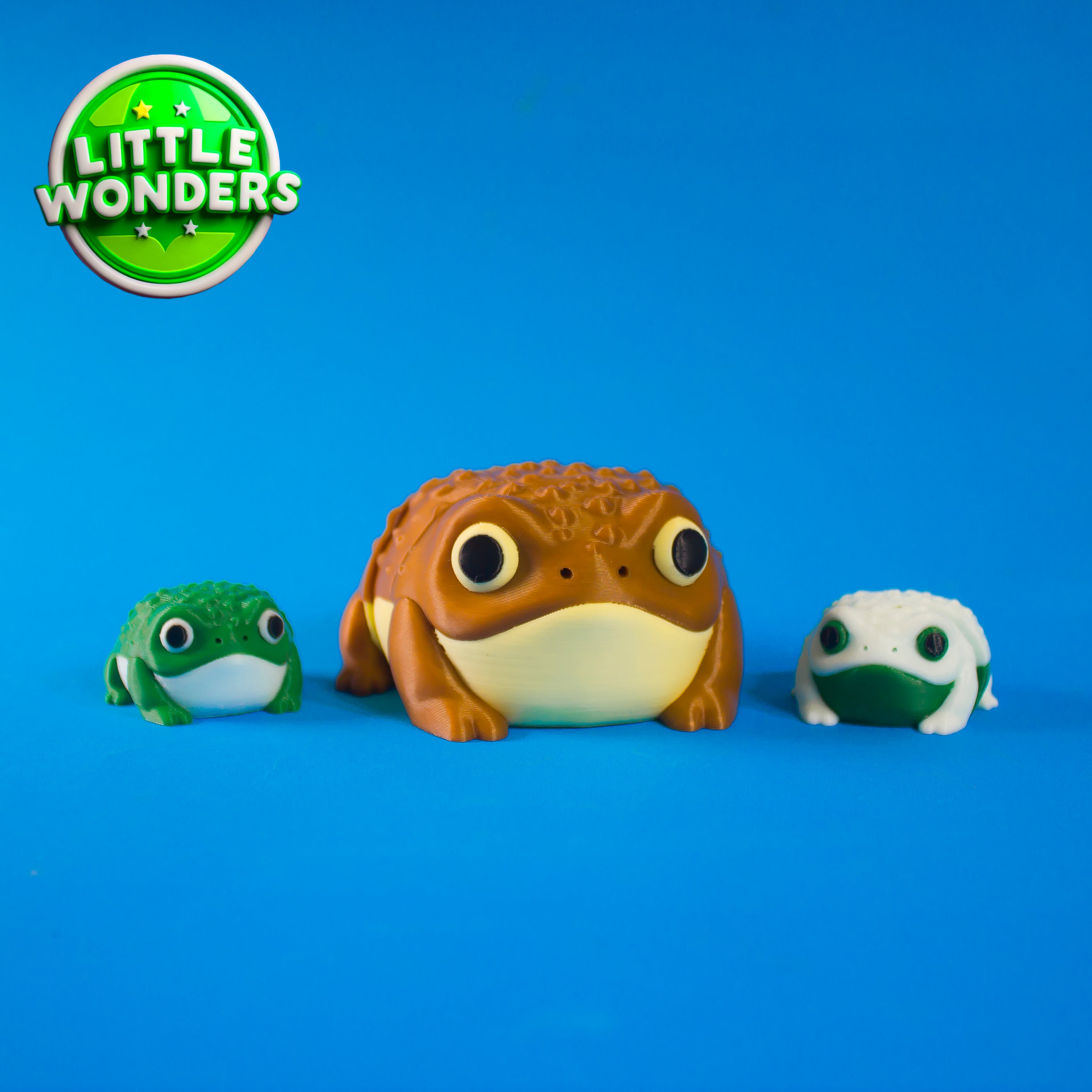 Rain Frog 3d model