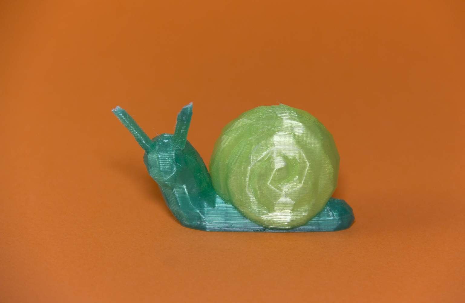 Snell ( the Snail ) 3d model