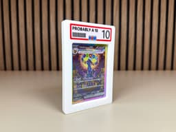 PA10 RawGuard (Probably A 10) 3d model