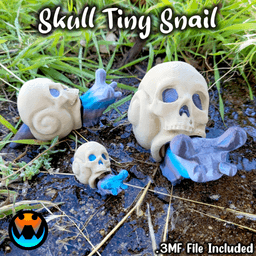 Tiny Skull Snail 3d model