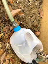 US Milk jug to hose connector 3d model