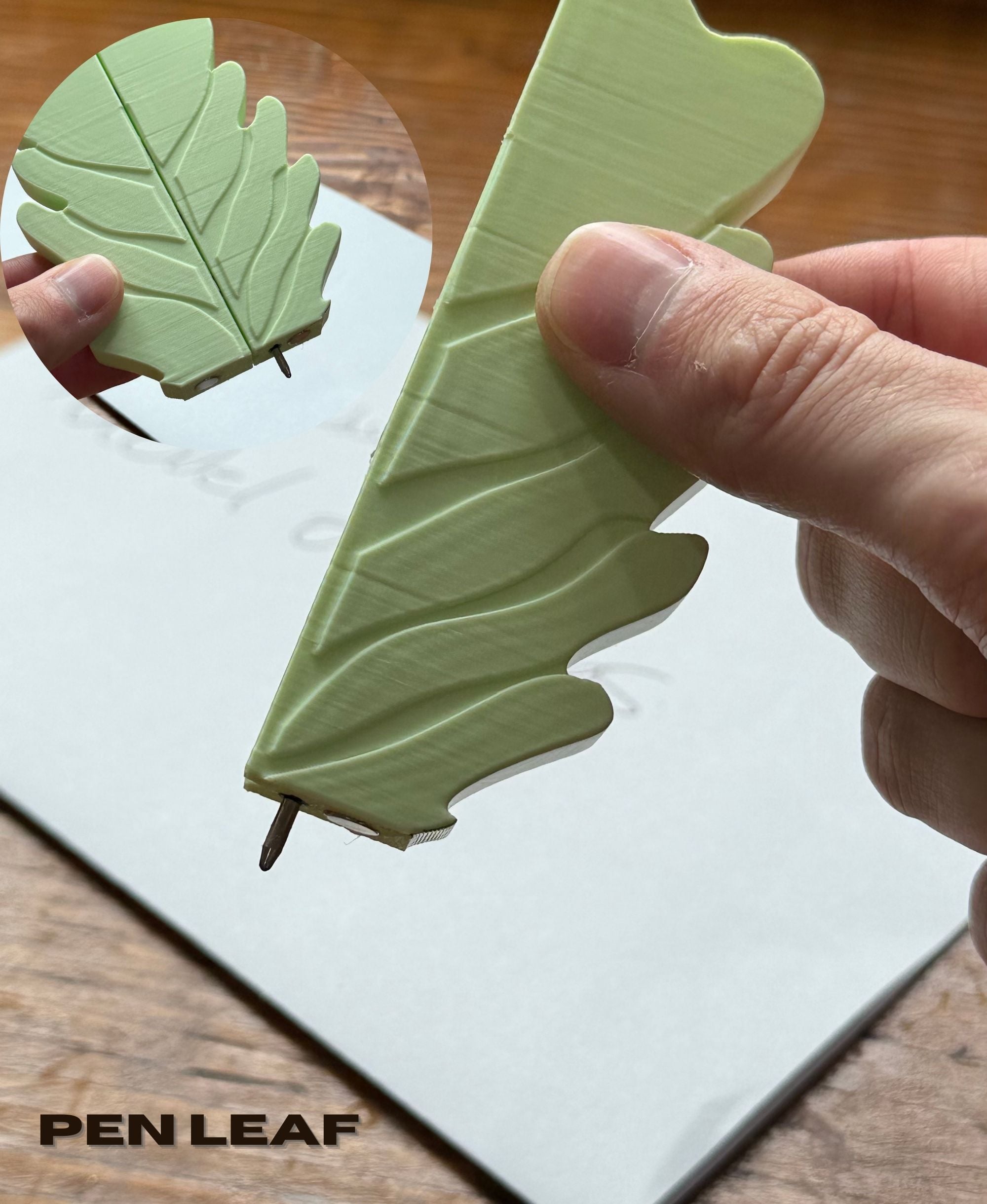 Tree Sapling 3d model