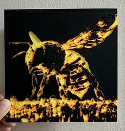 Crystal Bee - HueForge Print 3d model
