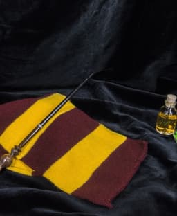 Minerva McGonagall's Wand - Harry Potter 3d model