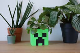 Minecraft Creeper Pot – FREE DOWNLOAD 3d model