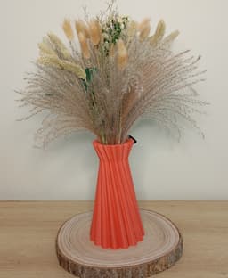 Vase Élévation 3d model