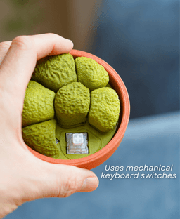 Mossy Mounds 3d model