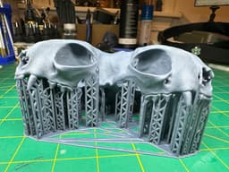Conjoined Domestic Cat Skull 3d model