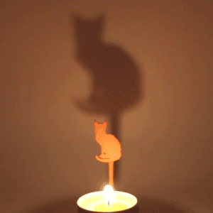 Animal Kitten 3d model