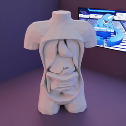 corpo orgaos.stl 3d model