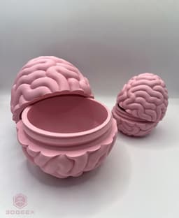 Easter Brain Egg 3d model
