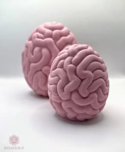 Easter Brain Egg 3d model