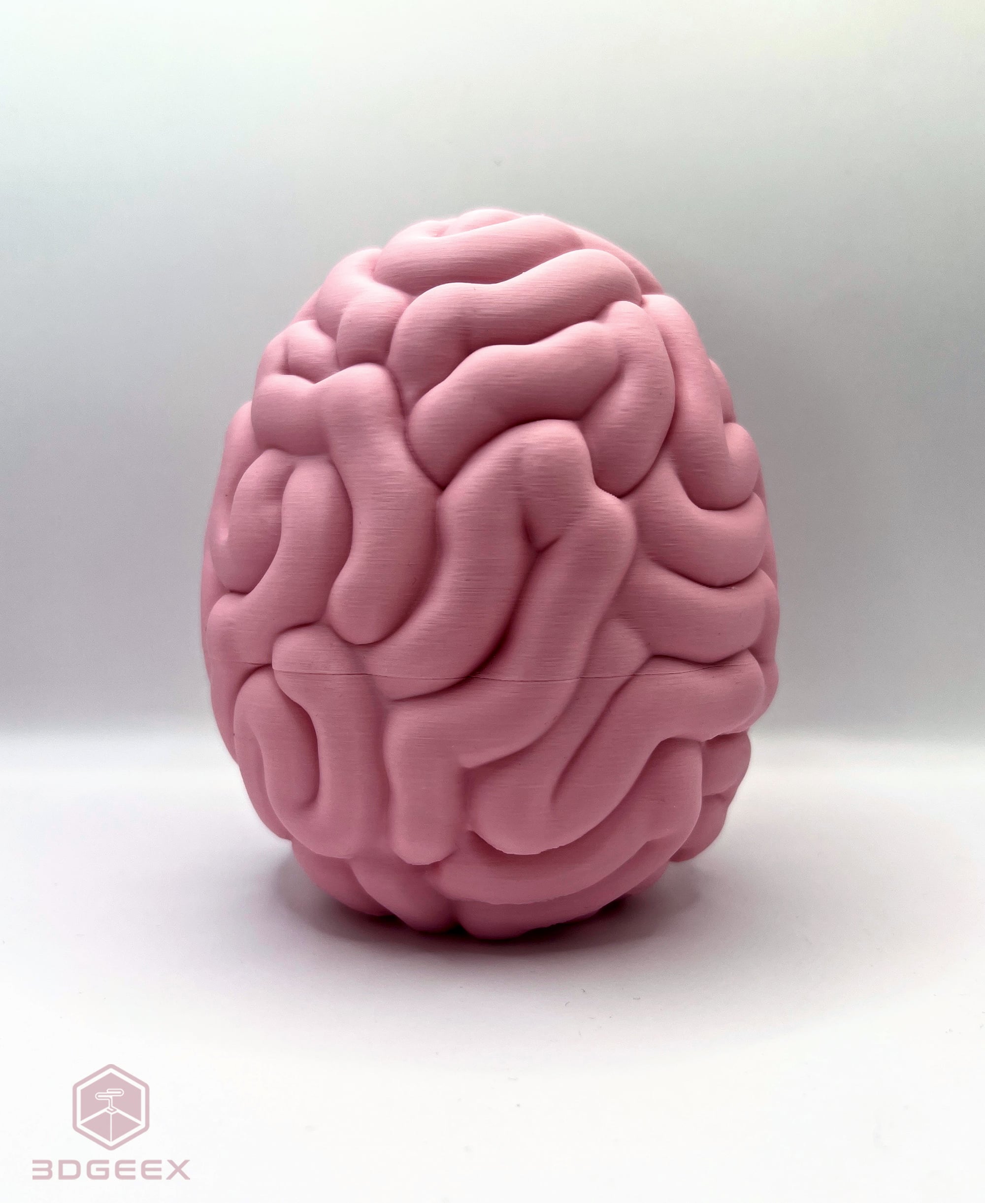 Easter Brain Egg 3d model