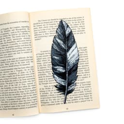 Feather Bookmarks 3d model