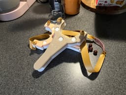 Sighted Slanger 3d model