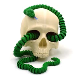 Snake and Rattlesnake 3d model