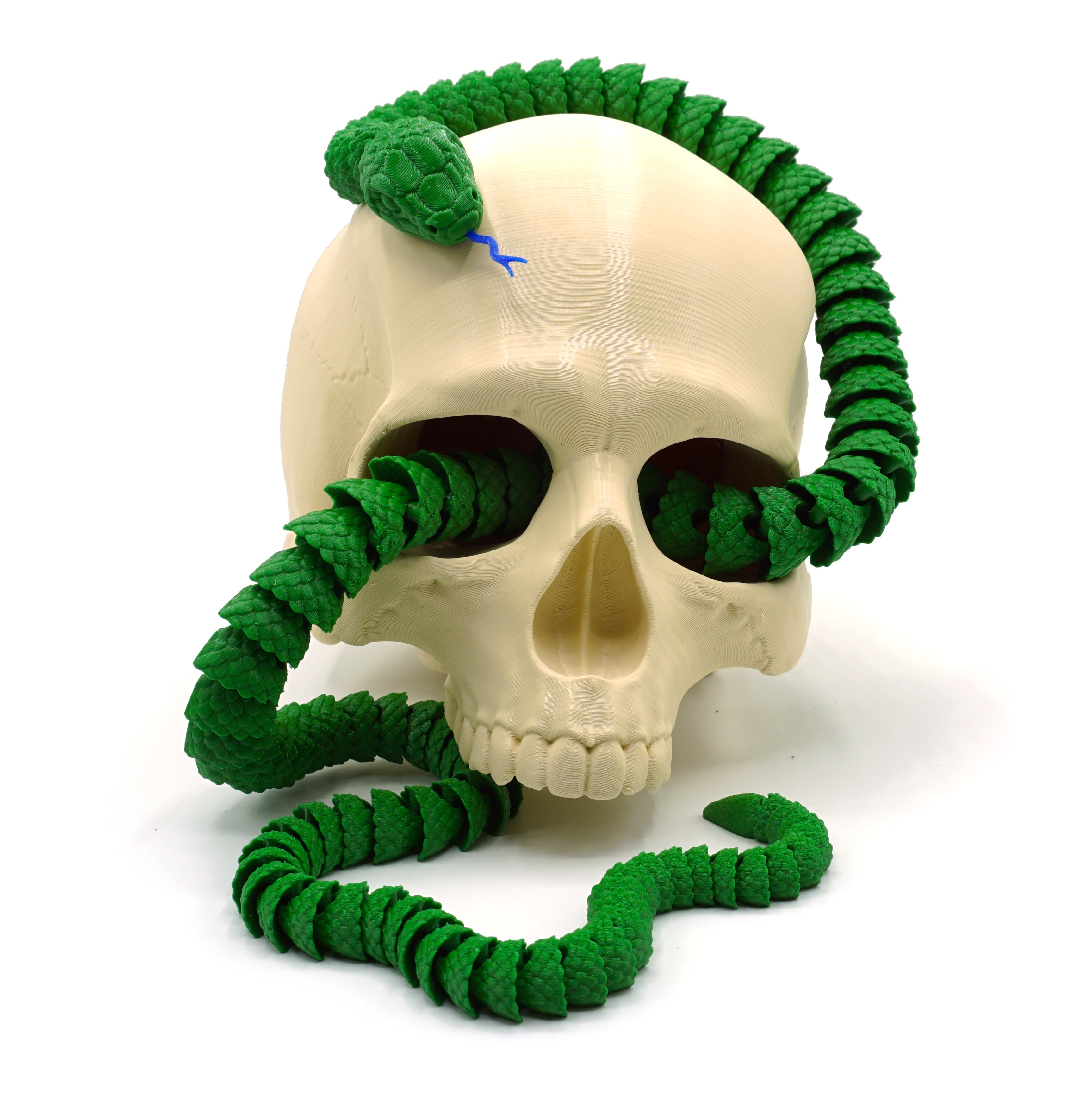 Snake and Rattlesnake 3d model