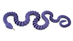 Snake and Rattlesnake 3d model