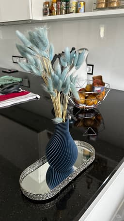 Spiral Vase 3d model