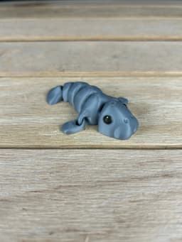 Manatee Fidget 3d model
