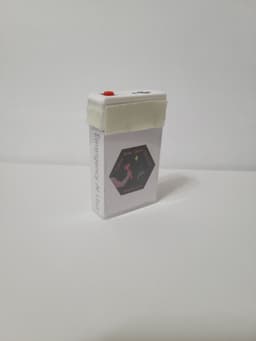 Tic-Tac Case Insert for Adafruit ESP32-S2 3d model