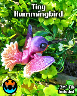 Tiny Hummingbird 3d model